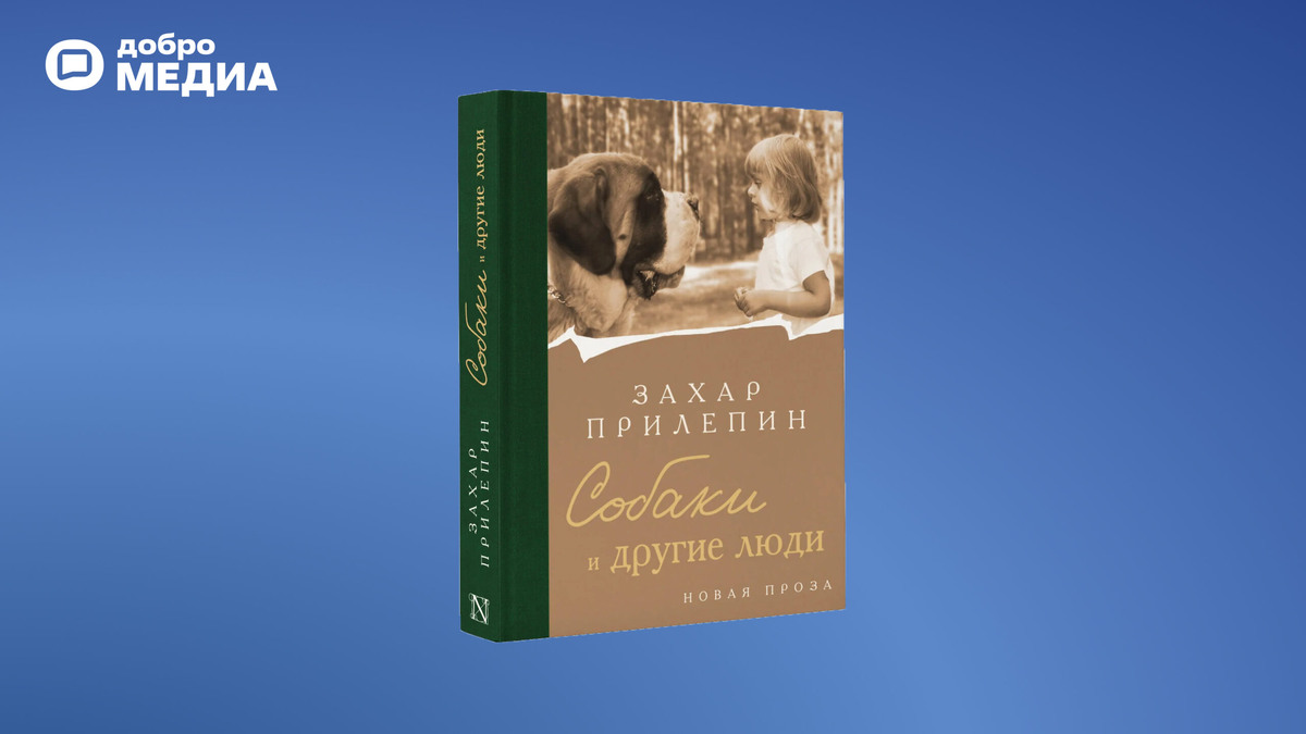    Захар Прилепин, год издания: 2025. Графика: Добро.Медиа