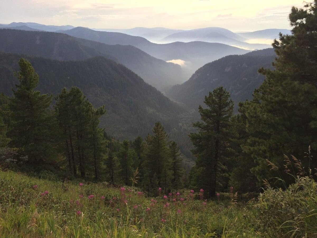 тропа на пик Черского