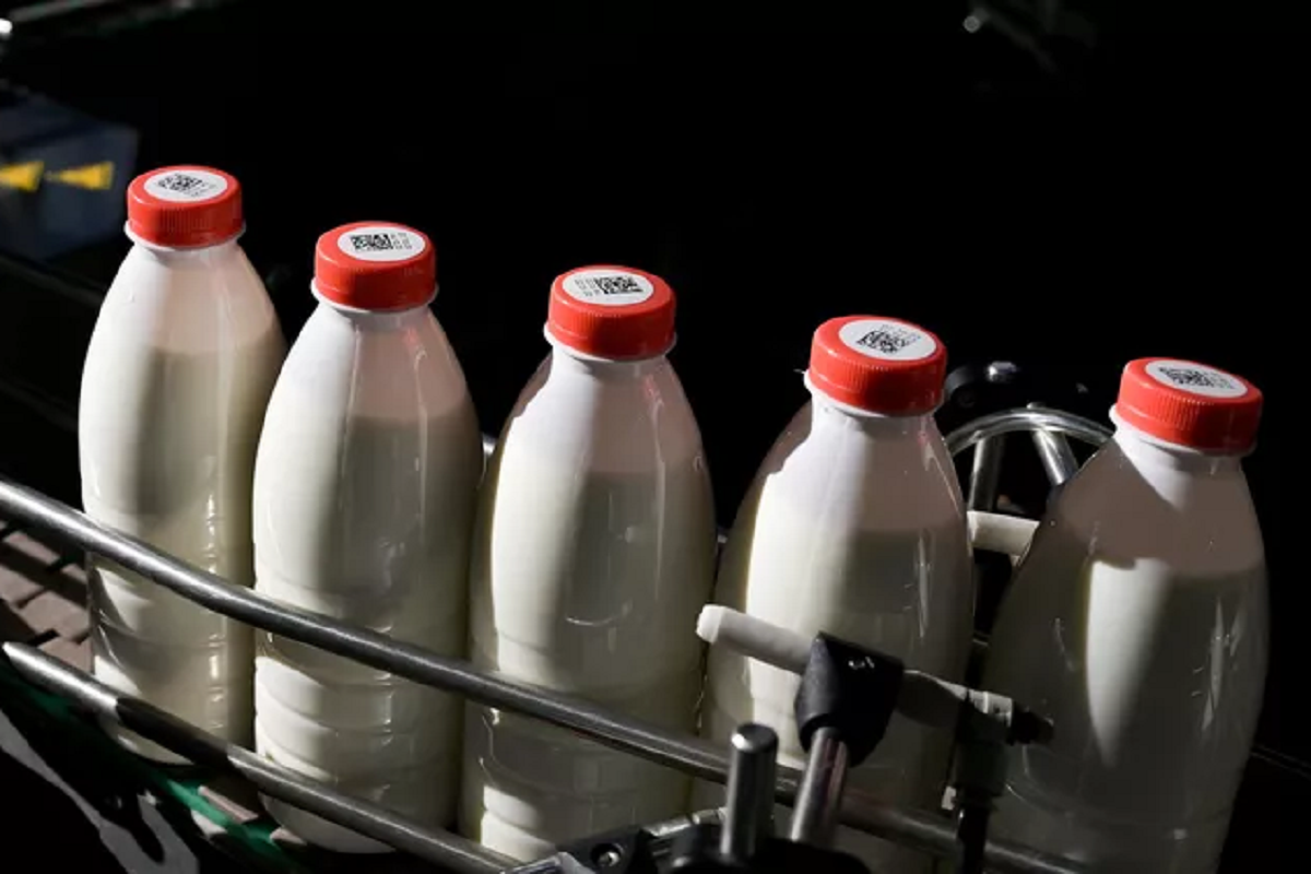    Фото: Александр Кряжев, источник: РИА Новости