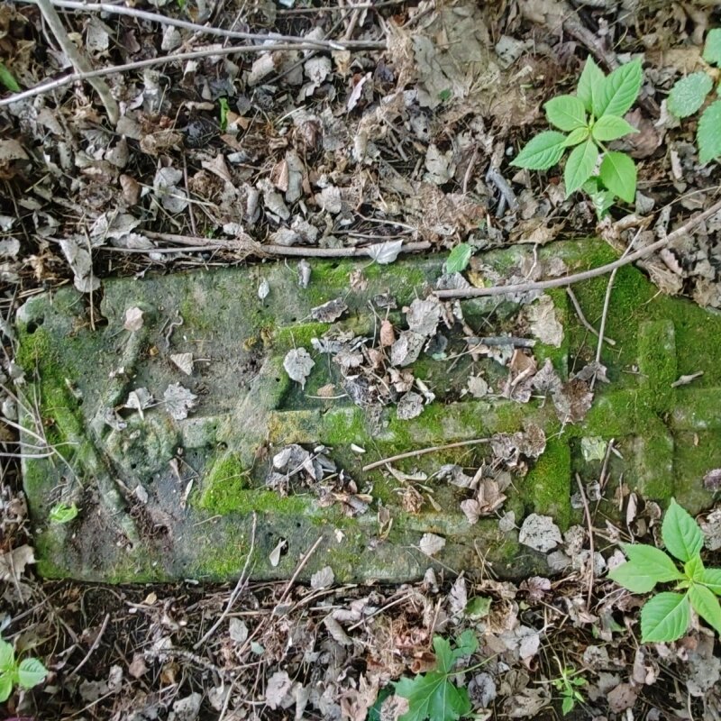    Фото: Из архива/ Из личного архива Милы Куликовой.