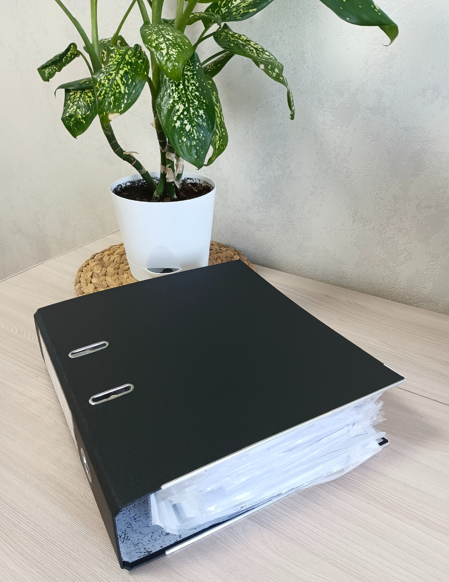 Вот такие папки я купила.