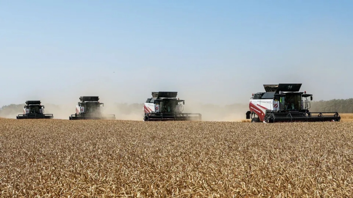 Фото: Эрик Романенко / ТАСС