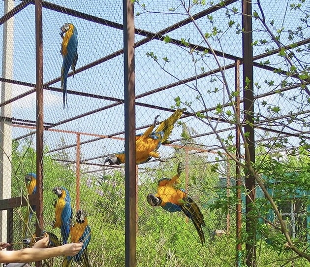 Фото из интернета 