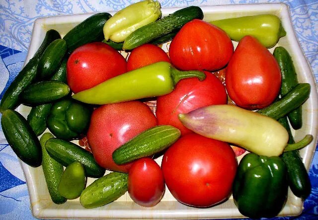 Фото автора канала