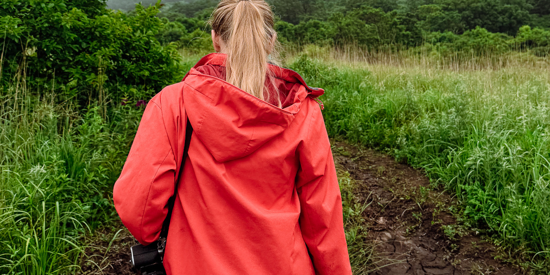 Как в Приморье спасают тигрят, не прикасаясь к ним ни разу