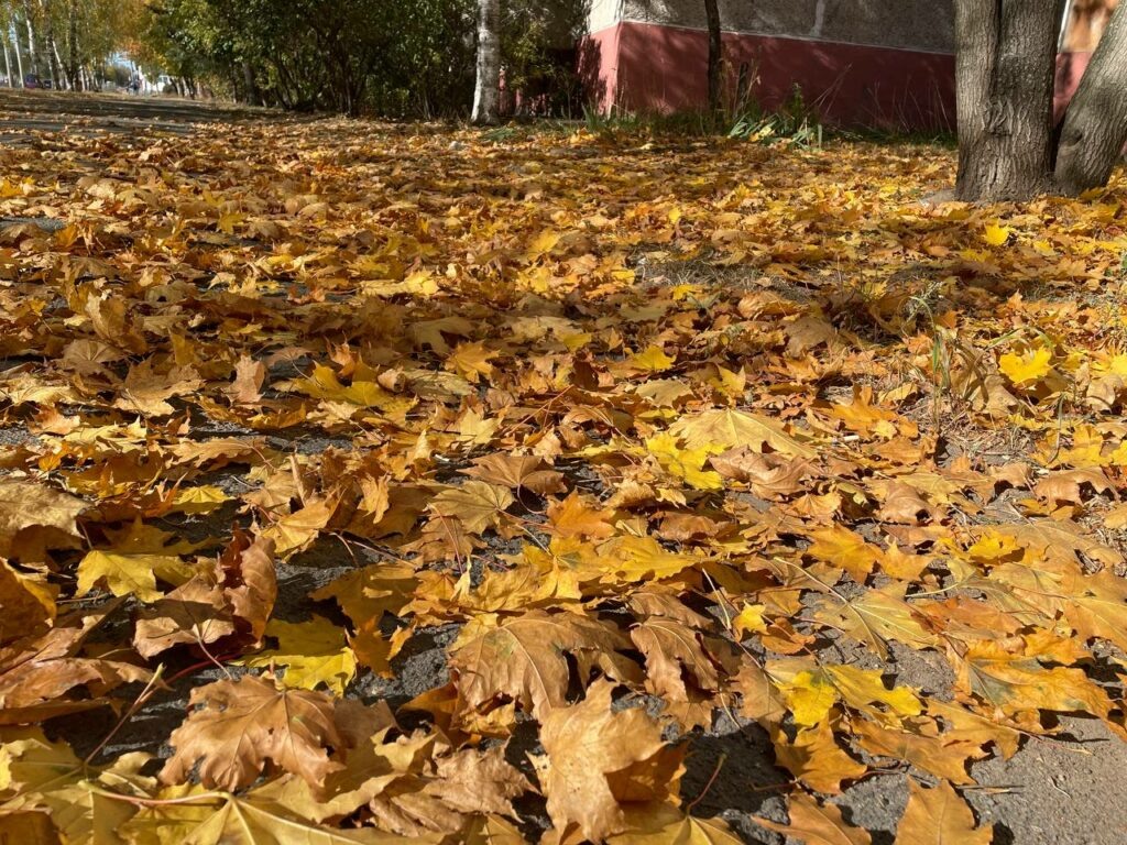    Константин ТЕРЕХОВ