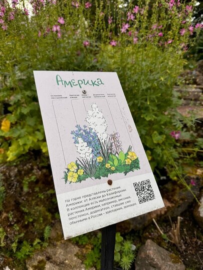    t.me/botsad_spb_official