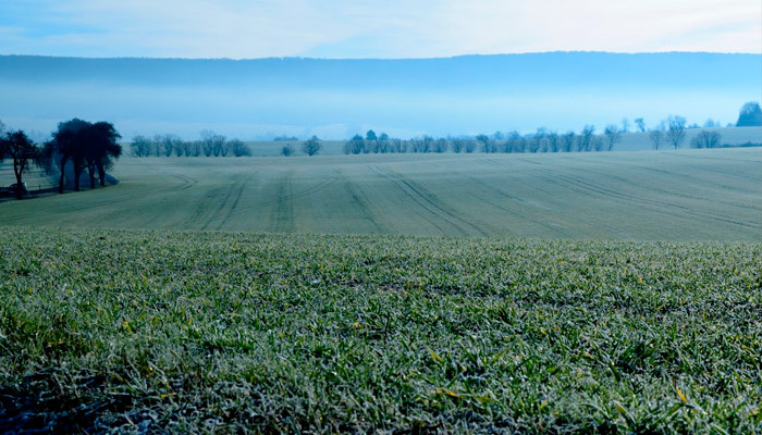 7 августа отмечается Анна Летняя, когда возможны первые заморозки. Фото: pxhere.com