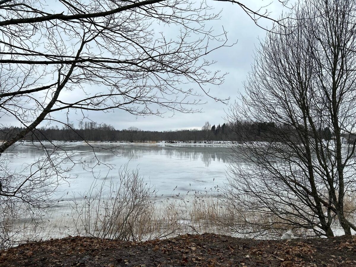 Центральная аллея усадьбы выходит прямиком на Лугу