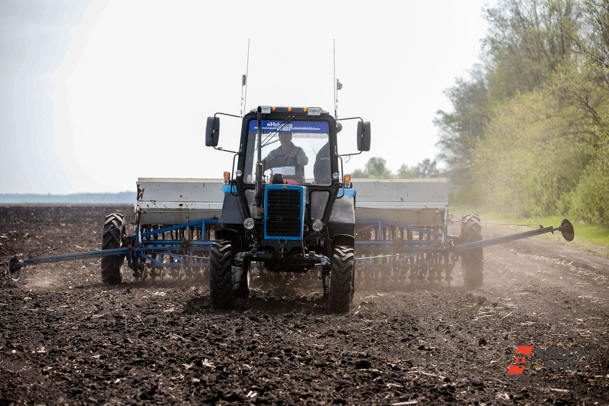Регионы сохраняют лидирующие позиции уже второй год подряд.  Фото: ФедералПресс / Евгений Поторочин