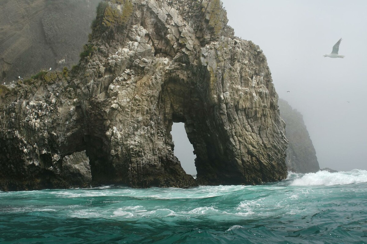     / Источник: © Sergey Malkov/Global Look Press