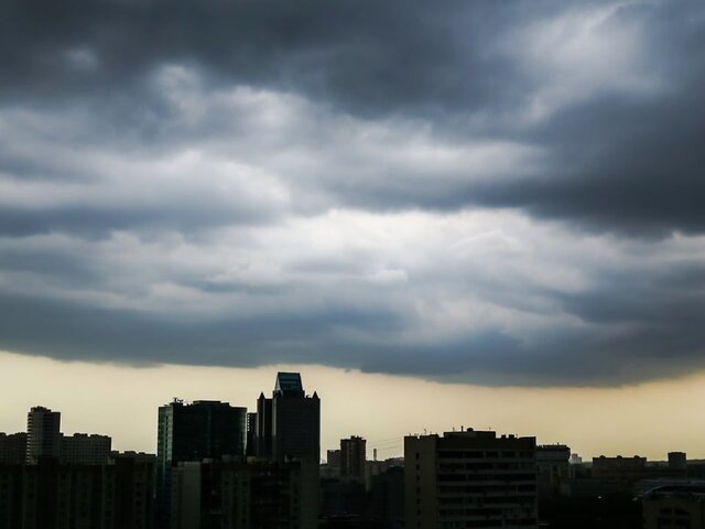    Фото: Москва 24/Лидия Широнина