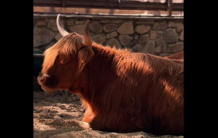   Фото: парк «Лога». Галина Ященко