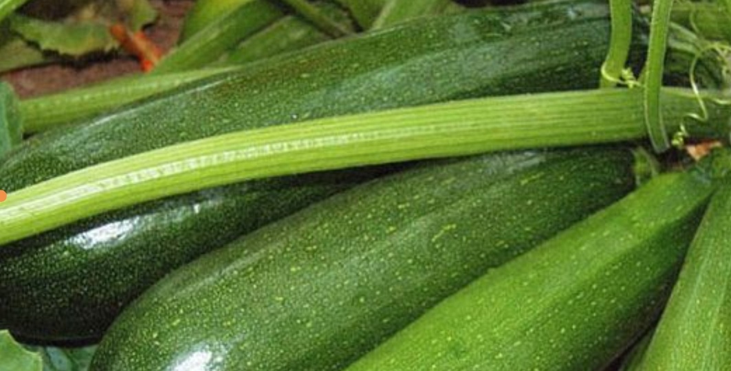 Все кабачки, огромное количество, можно сохранить и вкусно заготовить. Вот здесь много отличный вариантов