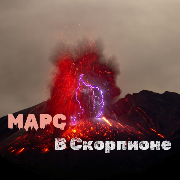 рисунок автора