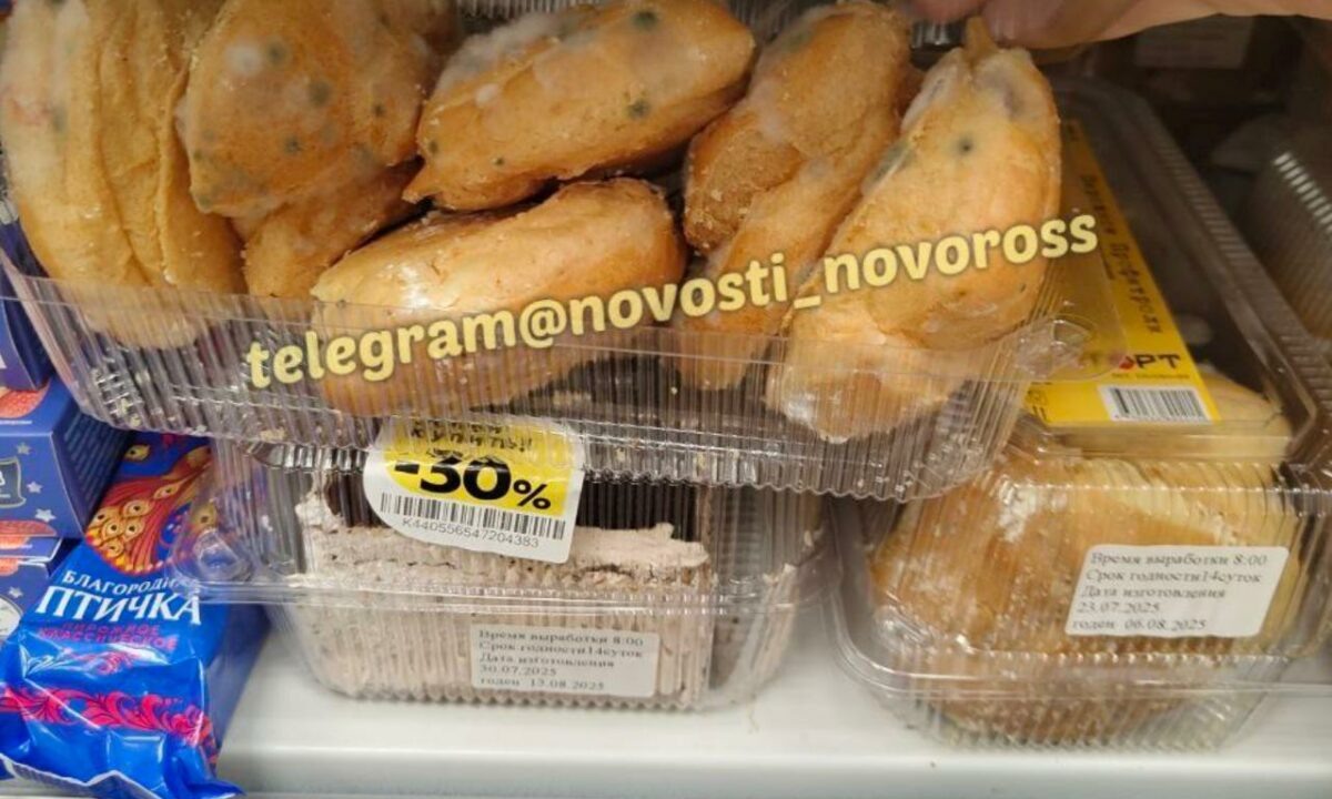    Фото t.me/novosti_novoross