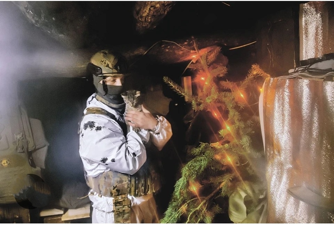 Фото из интернета