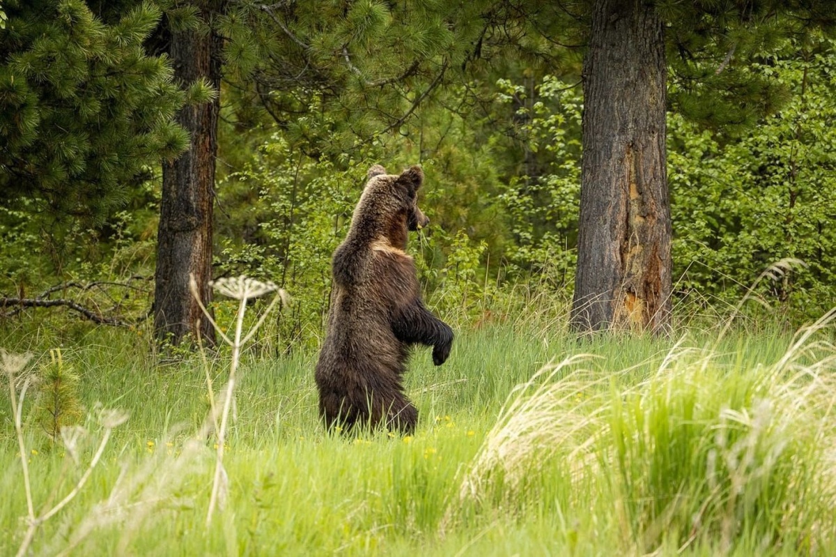 Источник фото: Фонд «Озеро Байкал» 