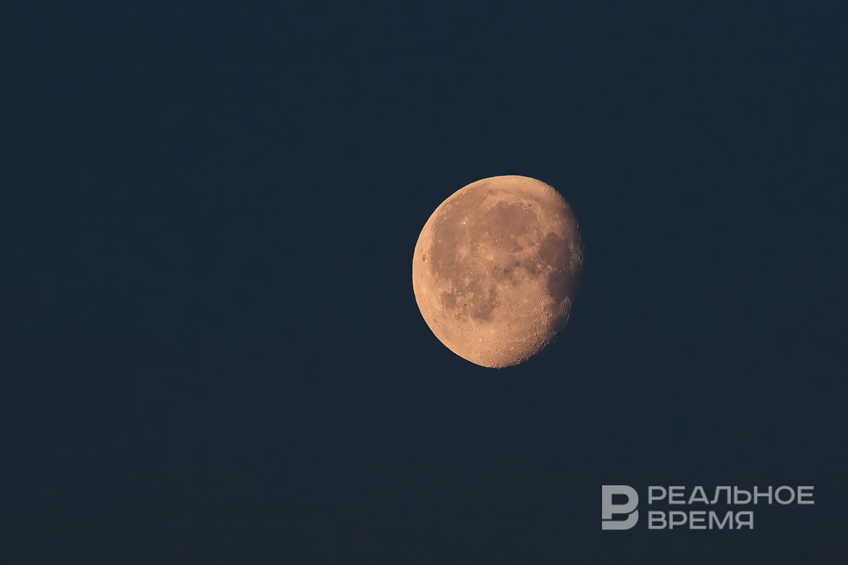   Динар Фатыхов / realnoevremya.ru