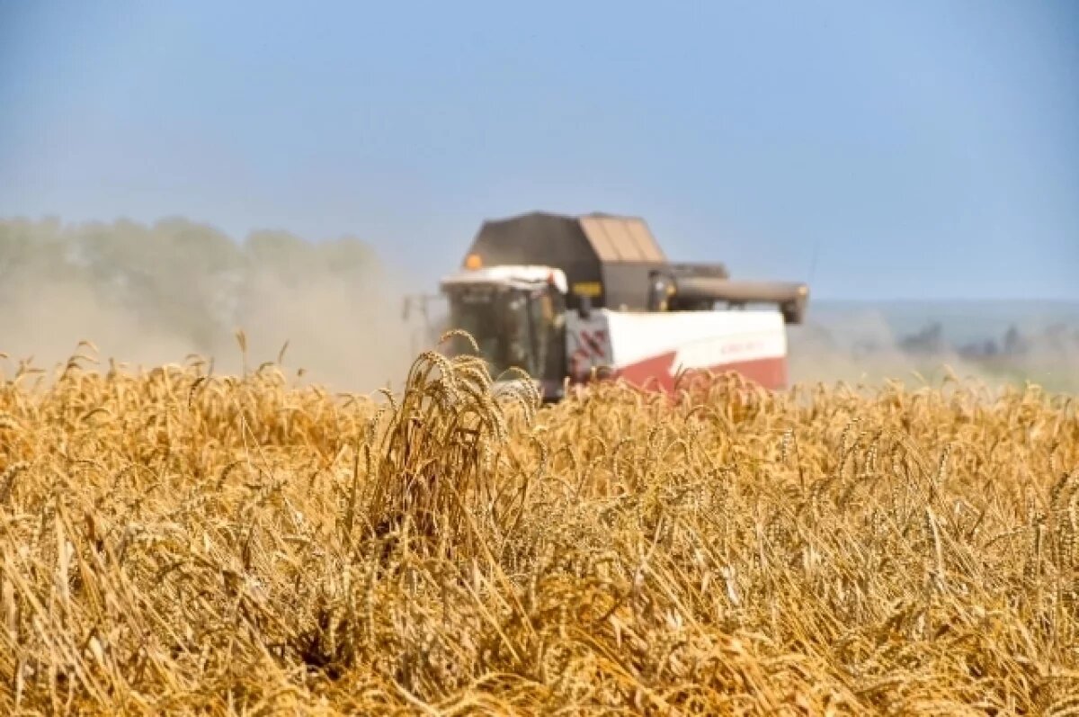    Владимирские аграрии собрали 42 тысячи тонн зерна