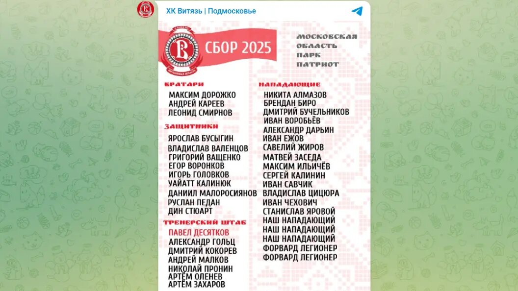    фото: тг-канал хк "витязь".