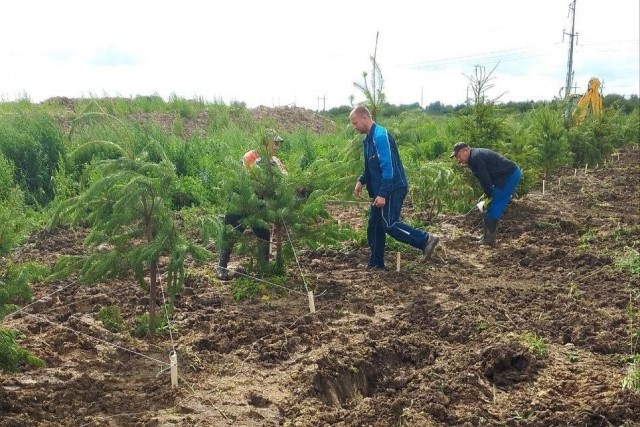   Фото: региональный Минприроды, «ВКонтакте»