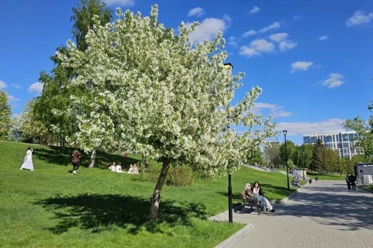    Синоптики рассказали, когда в Новосибирск вернется жаркая погода