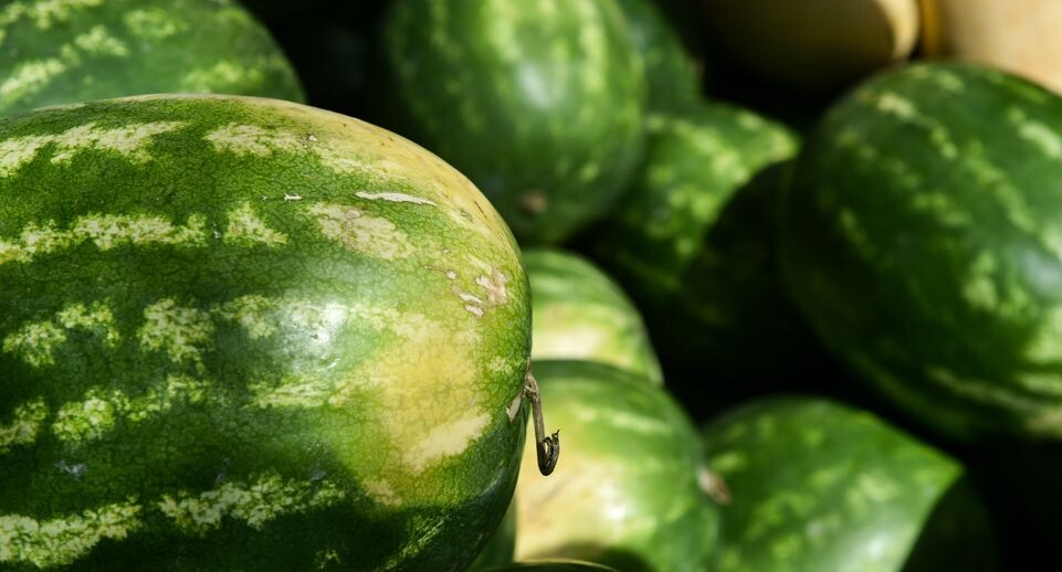    Медиасток.рф