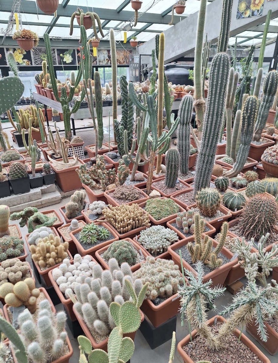 Фото - собственность автора канала " ТАК НАДО".