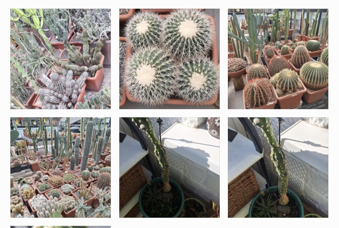 Фотоколлаж - собственность автора канала "ТАК НАДО".