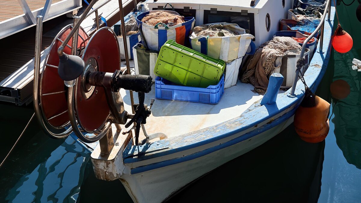    Фото: freepik.com/frimufilms