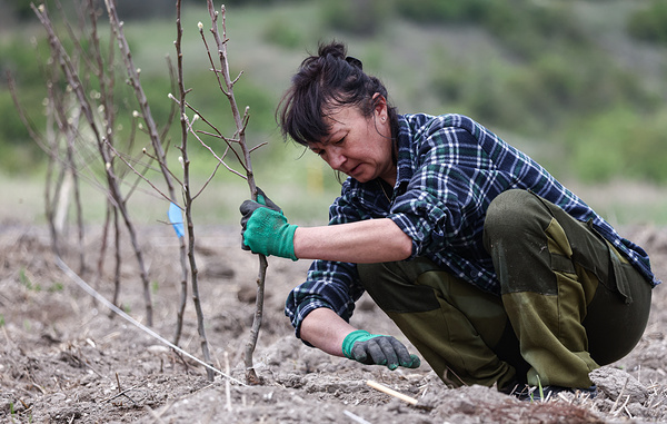 Сергей Мальгавко/ТАСС