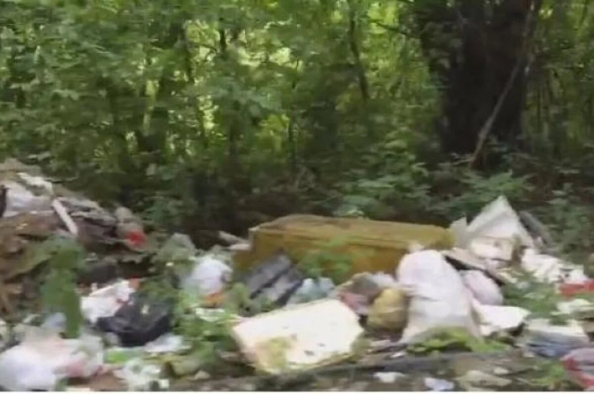    Вблизи Рязани обнаружена крупная несанкционированная свалка