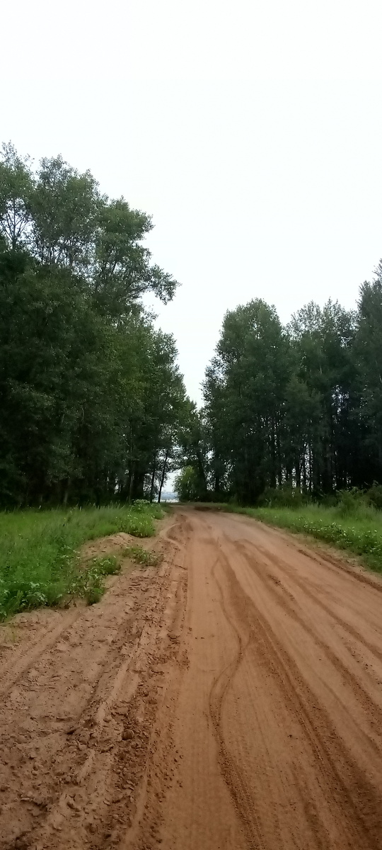 Дорога называется,,на встречу приключениям,,.