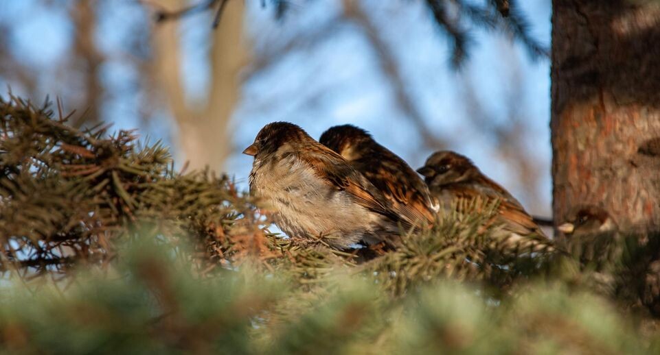    Svetlana Vozmilova/Global Look Press / www.globallookpress.com