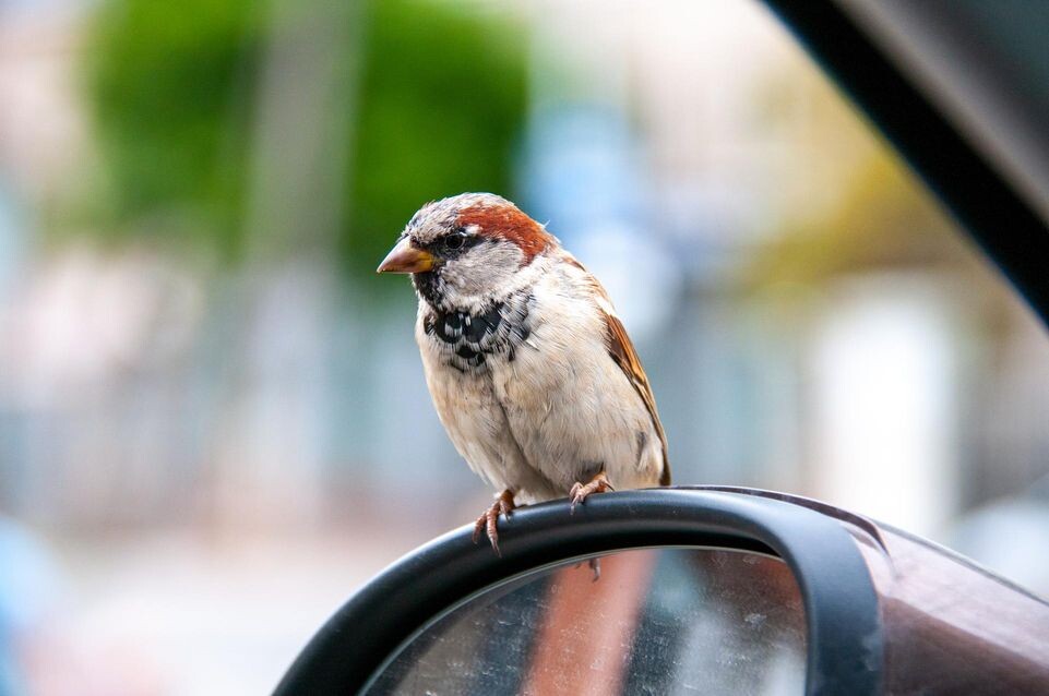    Svetlana Vozmilova/Global Look Press / www.globallookpress.com