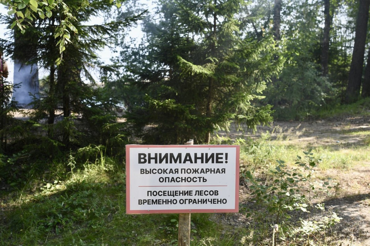    Фото: «Республика» / Оксана Кудряшова