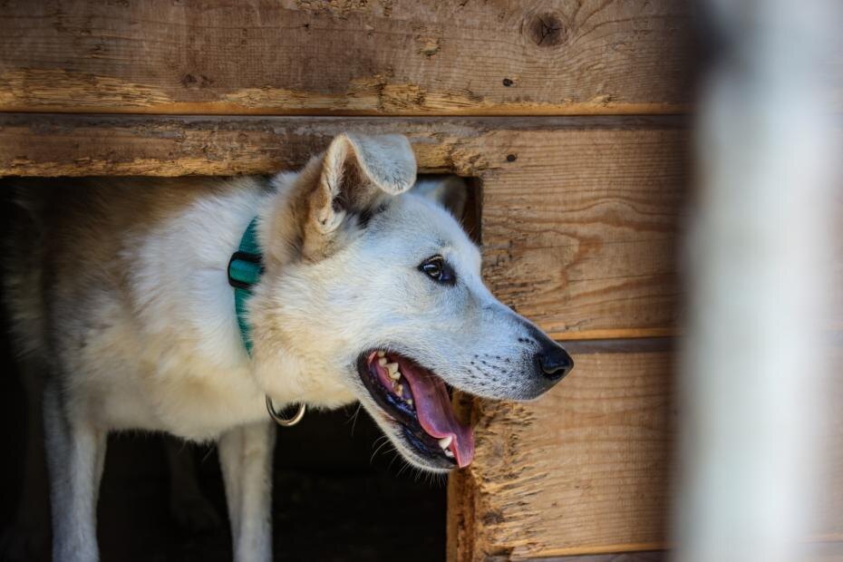    Сергей Лантюхов/NEWS.ru