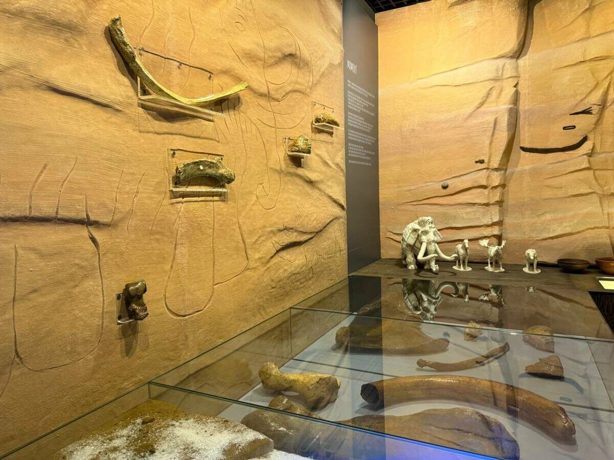 Фото: пресс-служба Раиса РТ