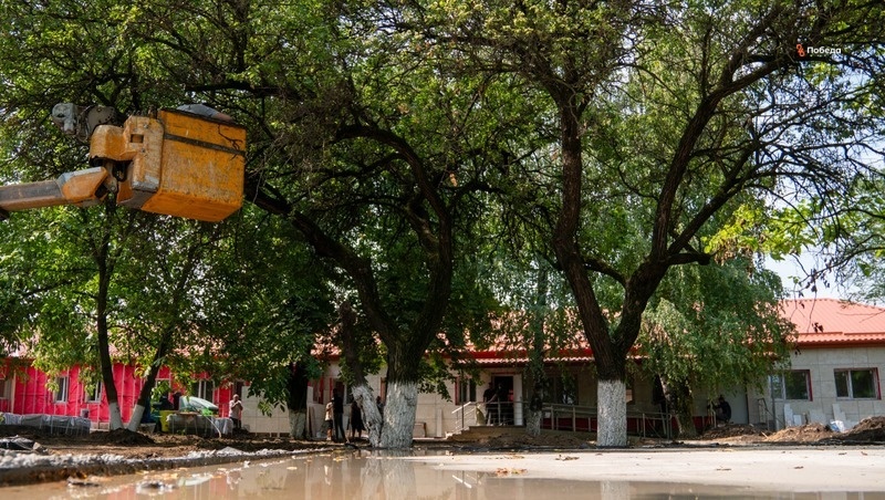      Фото: Александр Скрыпник / / ИА «Победа26»