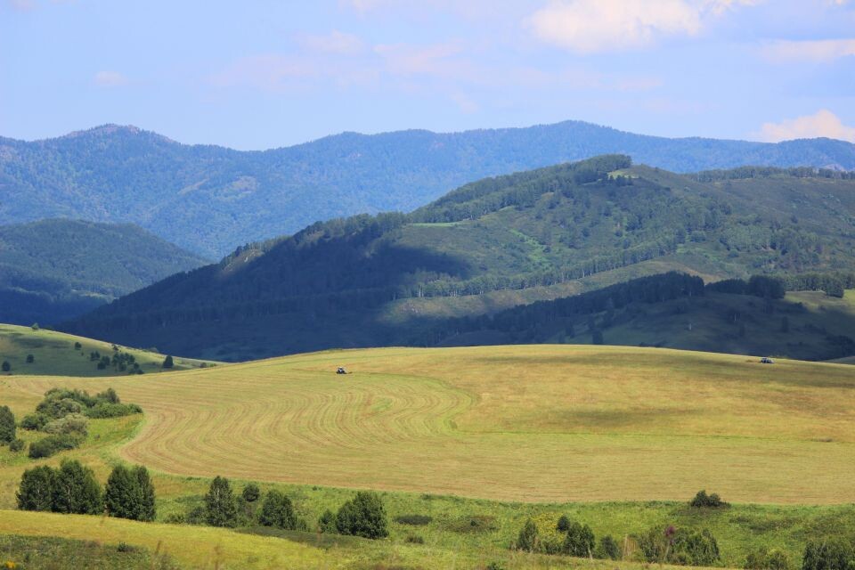    Солонешенский район, недалеко от села Большая Тихая. Источник: Евгения Кочеткова/"Толк"