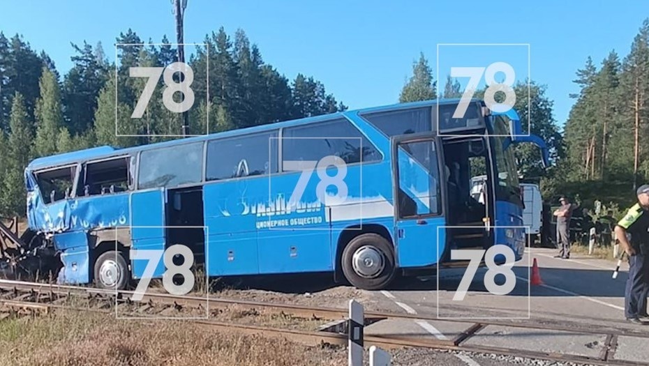    Автор фото: 78.ru