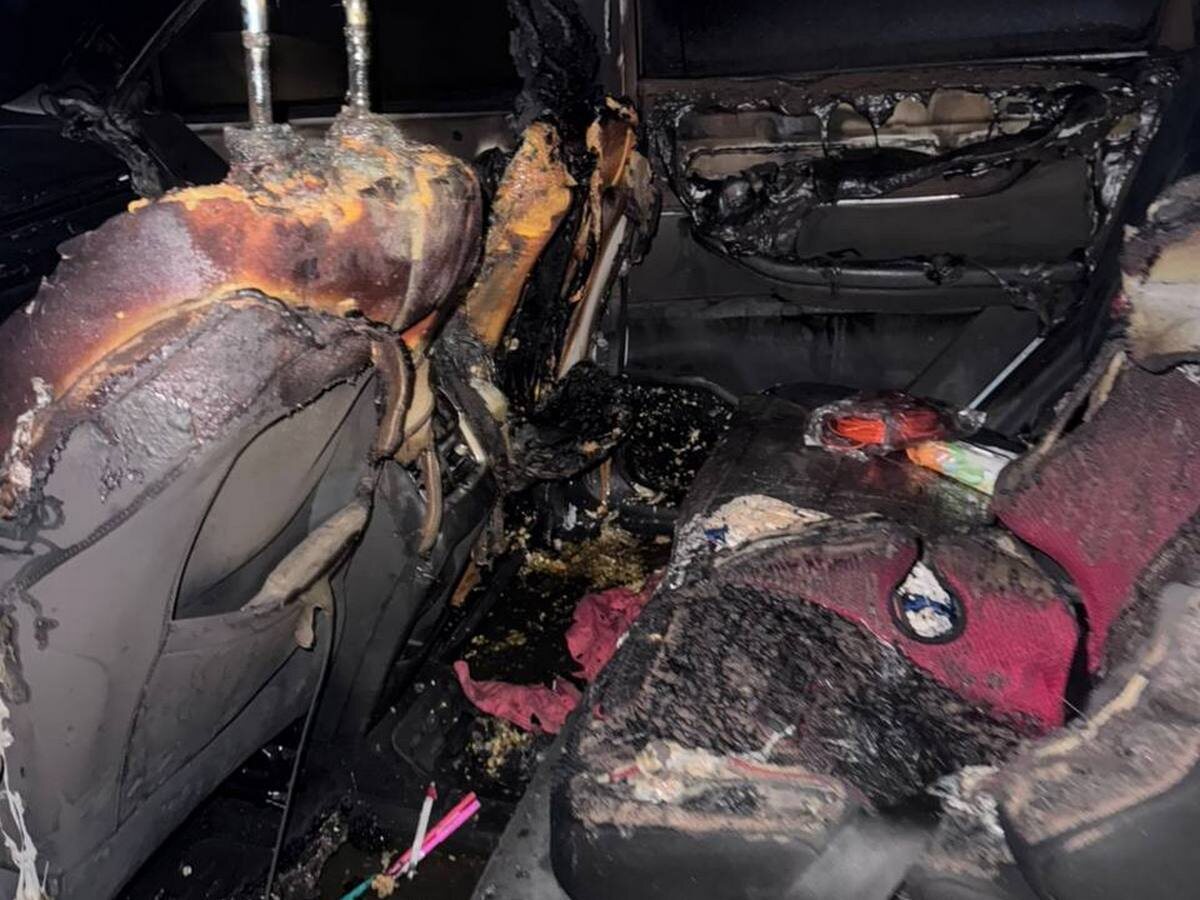    Фото: t.me/gsuskrf_spb