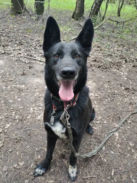 Ну что, познакомимся?