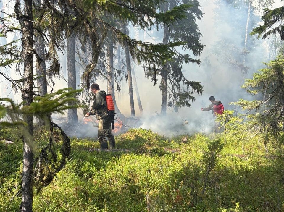    Фото: Минприроды Карелии