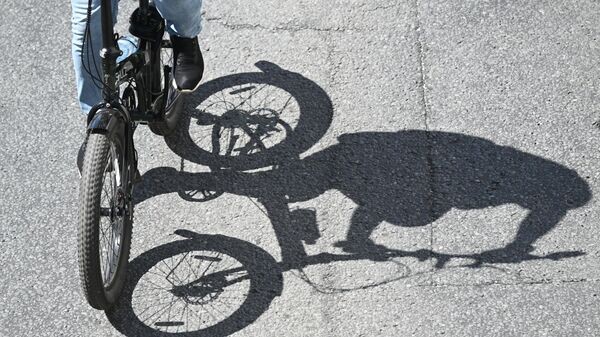    © Sputnik / Кирилл Каллиников