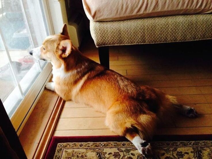 источник фото: https://i.pinimg.com/736x/5e/ad/a2/5eada2fb44467a224398c375573ba1b2.jpg