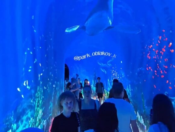    Фото: Кадр из видео / t.me/park_oblakov_krd