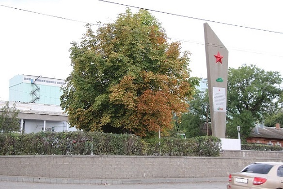    Фото из архива "РВ" Диана Огнева