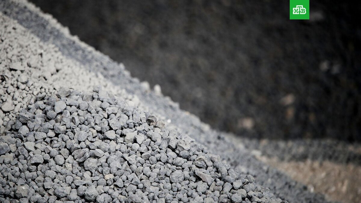    Фото: РИА Новости © 2025, Кирилл Брага